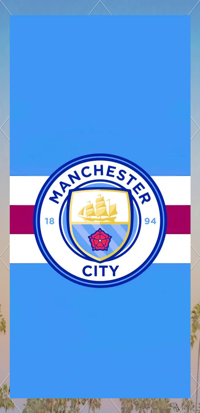 官方：沃尔夫斯堡体育总监申齐洛茨离任