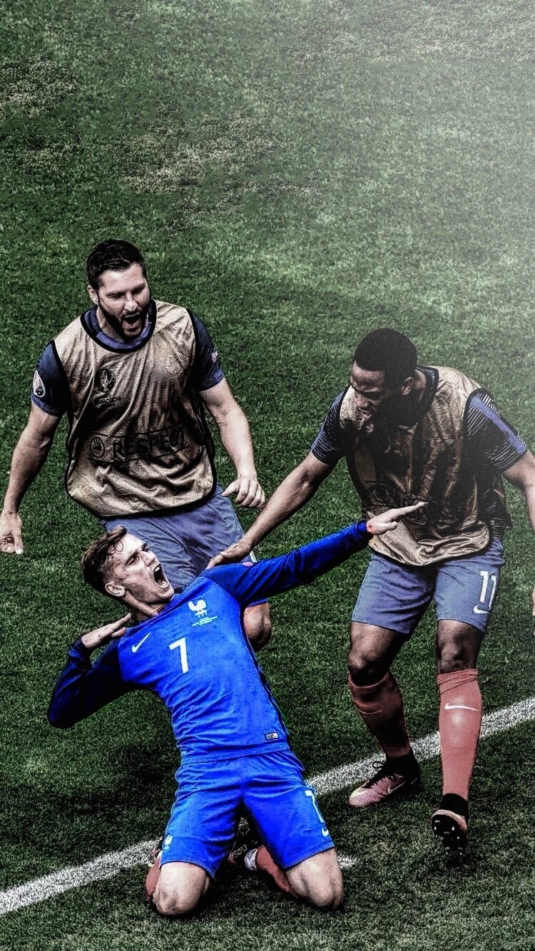 F1实时积分榜：诺里斯领先皮亚斯特里22分，领先维斯塔潘25分